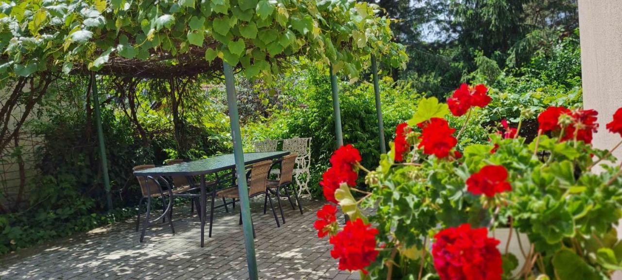 Lugas Apartman Miskolctapolca 2 Haloszoba Dezsa Es Jakuzzi Koezel A Barlangfuerdohoez Buitenkant foto